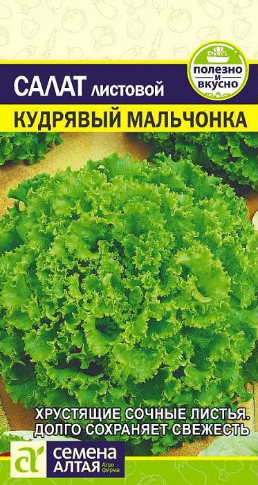 картинка Салат Кудрявый Мальчонка 0,5г ц/п (СемАлт) листовой магазин Одежда+ являющийся официальным дистрибьютором в России 