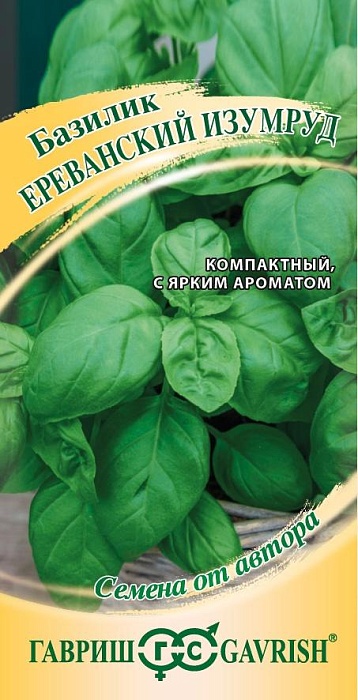 картинка Базилик Ереванский изумруд 0,1г ц/п (Гавриш) магазин Одежда+ являющийся официальным дистрибьютором в России 