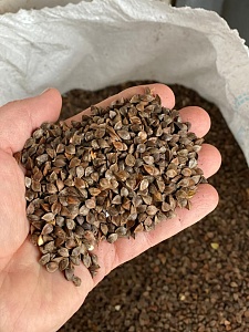 Гречиха 20кг/м (Ал.Сад)