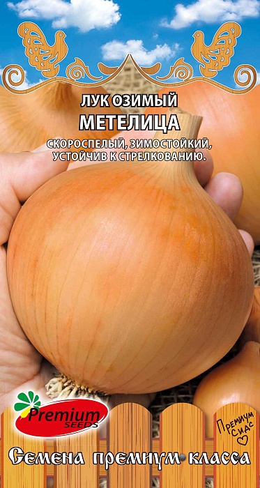 картинка Лук Метелица 1г ц/п (ПрСидс) Новинка озимый магазин Одежда+ являющийся официальным дистрибьютором в России 