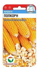 Кукуруза Попкорн 10шт (СибСад)