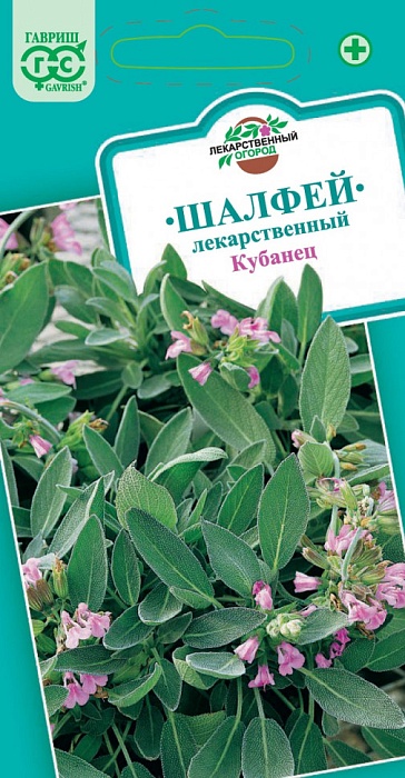 картинка Шалфей Кубанец лекарственный 0,3г ц/п (Гавриш) магазин Одежда+ являющийся официальным дистрибьютором в России 