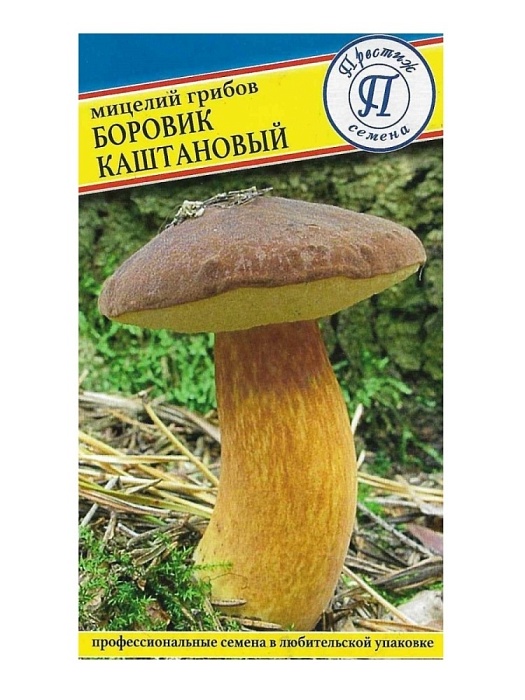 картинка Мицелий грибов Боровик каштановый  60мл ц/п (Престиж) магазин Одежда+ являющийся официальным дистрибьютором в России 