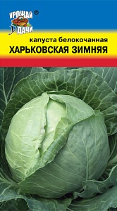 Капуста Харьковская зимняя 0,5г ц/п (УУ)