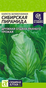 Капуста Сибирская пирамида 0,5г ц/п (СемАлт)