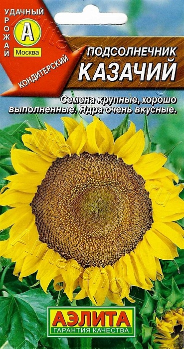 картинка Подсолнечник Казачий 5г ц/п (Аэлита)  магазин Одежда+ являющийся официальным дистрибьютором в России 
