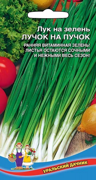 картинка Лук на зелень Лучок на пучок 0,25г ц/п (УД) магазин Одежда+ являющийся официальным дистрибьютором в России 
