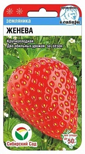 Земляника Женева 10шт (СибСад)