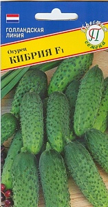 Огурец Кибрия F1 5шт (Престиж) ранний, 10-12см