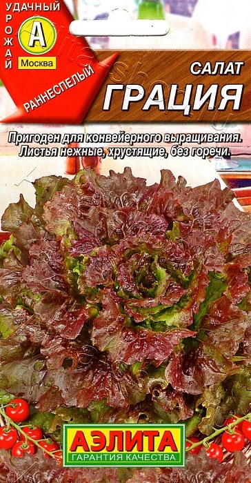картинка Салат Грация 0,5г ц/п (Аэлита)  магазин Одежда+ являющийся официальным дистрибьютором в России 