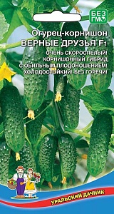 Огурец Верные друзья F1 10шт ц/п (УД) очень скороспелый,холодостойкий,8-10см