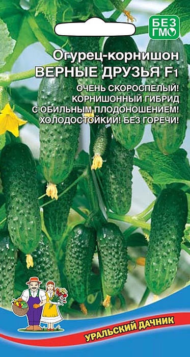 картинка Огурец Верные друзья F1 10шт ц/п (УД) очень скороспелый,холодостойкий,8-10см магазин Одежда+ являющийся официальным дистрибьютором в России 