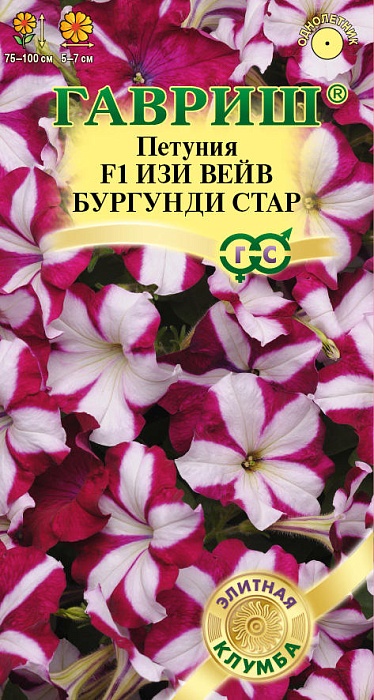 картинка Петуния Изи Вейв бургунди стар (Минитуния) каскад F1 4шт ц/п *(Гавриш) магазин Одежда+ являющийся официальным дистрибьютором в России 