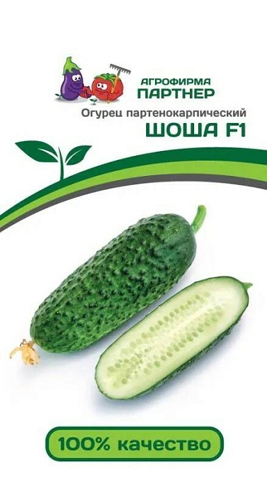 картинка Огурец Шоша F1 5шт (Партнер) ранний,партеник магазин Одежда+ являющийся официальным дистрибьютором в России 