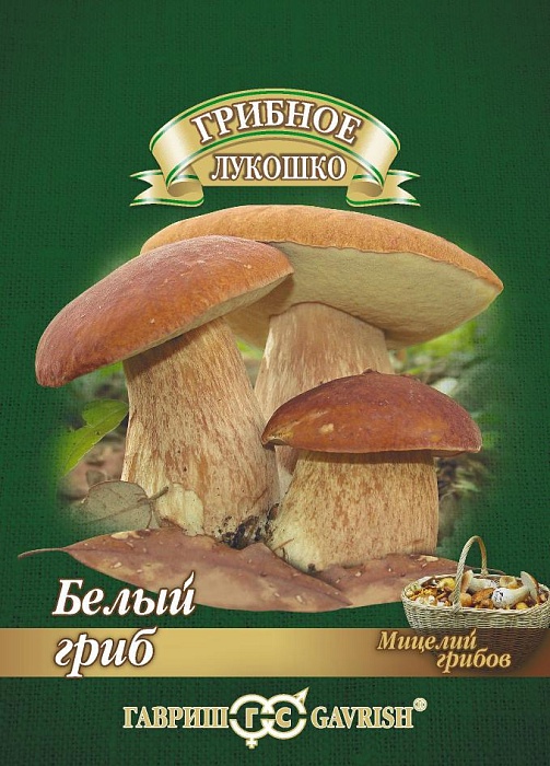 картинка Мицелий грибов Белый гриб на зерн.субстрате 15мл ц/п (Гавриш) магазин Одежда+ являющийся официальным дистрибьютором в России 