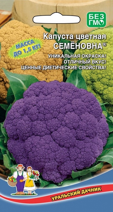картинка Капуста цветная Семеновна 0,25г ц/п (УД) НОВИНКА! фиолет, с/спелая, до 1,5 магазин Одежда+ являющийся официальным дистрибьютором в России 
