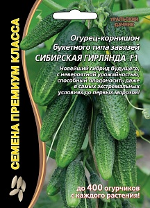 Огурец Сибирская гирлянда F1 5шт ц/п (УД) скороспелый,не перерастают,5-8см.