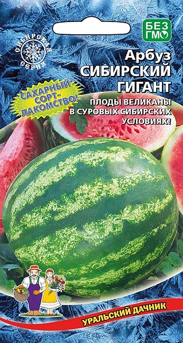 картинка Арбуз Сибирский Гигант 10шт ц/п (УД) Новинка! холодостойкий, масса до 7 кг магазин Одежда+ являющийся официальным дистрибьютором в России 