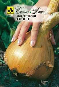 Лук Глобо 0,5г (Семко) до 700 грамм, сладкий
