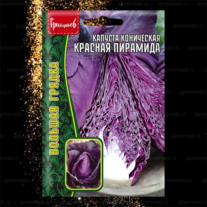 картинка Капуста краснокочанная Красная Пирамида коническая 0,2г (Григорьев) магазин Одежда+ являющийся официальным дистрибьютором в России 