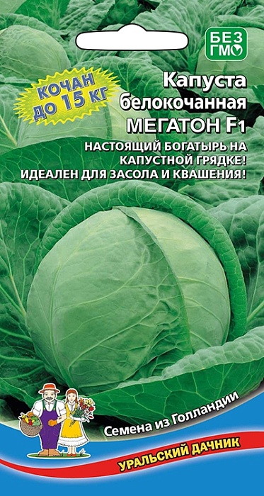 картинка Капуста Мегатон F1 10шт ц/п (УД) ср/поздняя, до 10кг. магазин Одежда+ являющийся официальным дистрибьютором в России 