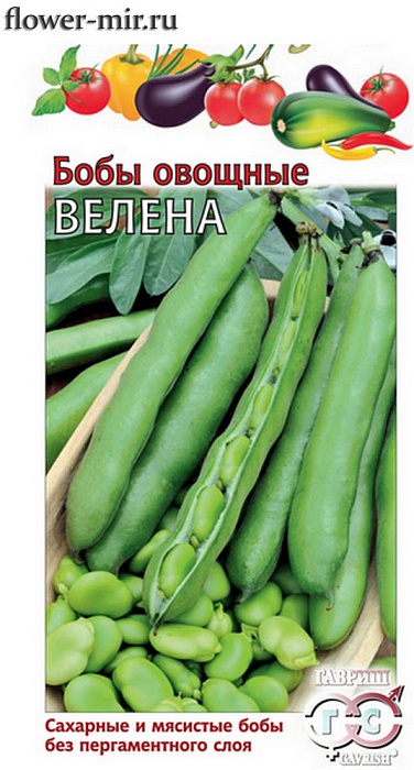 картинка Бобы Велена  ц/п (Гавриш) магазин Одежда+ являющийся официальным дистрибьютором в России 