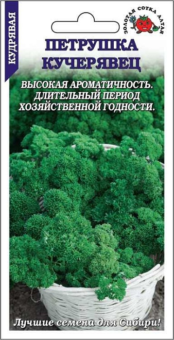 картинка Петрушка кудрявая Кучерявец 1г ц/п (З/Сотка) магазин Одежда+ являющийся официальным дистрибьютором в России 