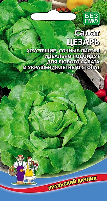 картинка Салат Цезарь 0,3г ц/п (УД) кочанный (тип Айсберг) магазин Одежда+ являющийся официальным дистрибьютором в России 