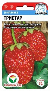 Земляника Тристар 10шт (СибСад) ремонтантная,до 30г