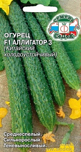 Огурец Аллигатор F1 0,2г ц/п (Седек) ранний,пчелоопыл,35-40см.