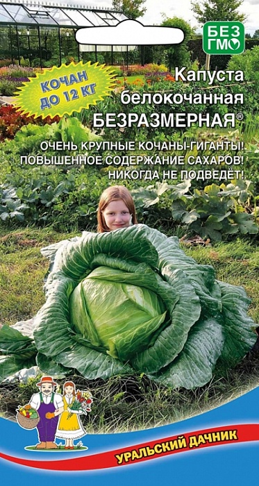 картинка Капуста Безразмерная 0,3г ц/п (УД) поздняя, до 12кг магазин Одежда+ являющийся официальным дистрибьютором в России 
