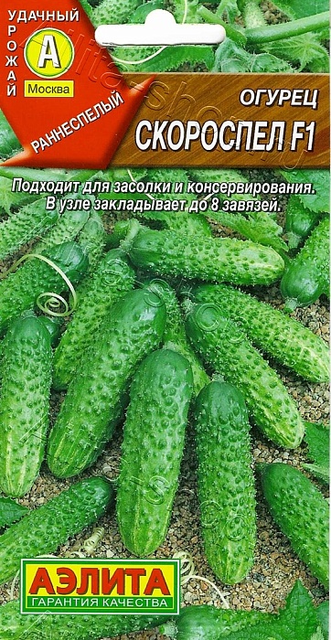 картинка Огурец Скороспел F1 10шт ц/п (Аэлита)  магазин Одежда+ являющийся официальным дистрибьютором в России 