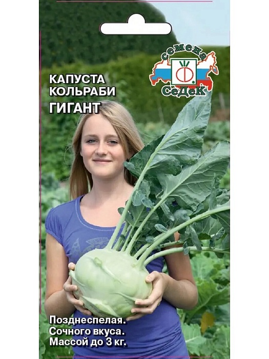 картинка Капуста кольраби Гигант 0,5г ц/п (Седек) магазин Одежда+ являющийся официальным дистрибьютором в России 