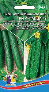 Огурец Три Китайца F1 10шт ц/п (УД) Новинка!!!