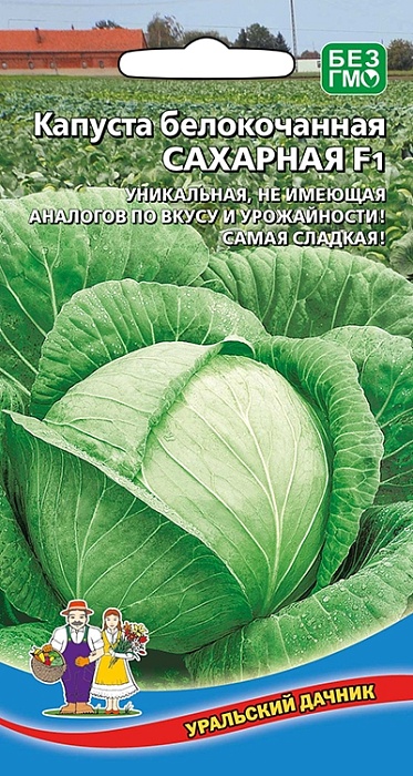 картинка Капуста Сахарная F1 0,3г ц/п (УД) позднеспелая, масса 3,0-3,5 кг магазин Одежда+ являющийся официальным дистрибьютором в России 
