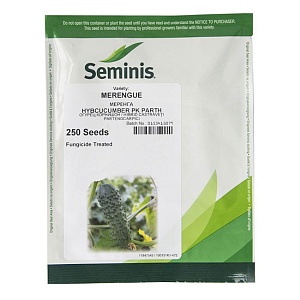 Огурец Меренга F1 250шт (Seminis)
