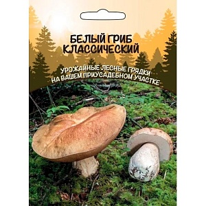 Мицелий грибов Белый гриб Классический 15г ц/п б/ф ССПК