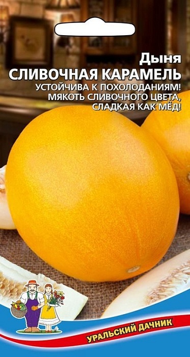 картинка Дыня Сливочная Карамель 12шт ц/п (УД) ср/спелая 1,5-2кг магазин Одежда+ являющийся официальным дистрибьютором в России 