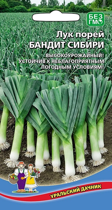 картинка Лук порей Бандит сибири 0,25г ц/п (УД) среднепоздний магазин Одежда+ являющийся официальным дистрибьютором в России 