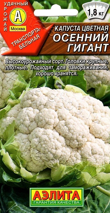 картинка Капуста цветная Осенний гигант 0,3г ц/п (Аэлита) ср/ранняя,до 850г магазин Одежда+ являющийся официальным дистрибьютором в России 