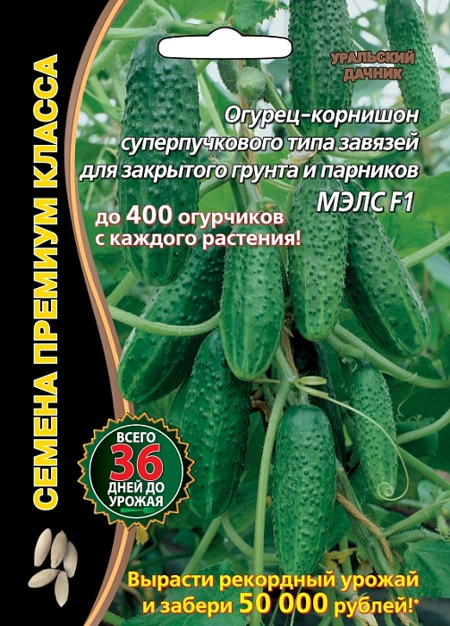 картинка Огурец Мэлс F1 5шт ц/п б/ф (УД) корнишон  магазин Одежда+ являющийся официальным дистрибьютором в России 