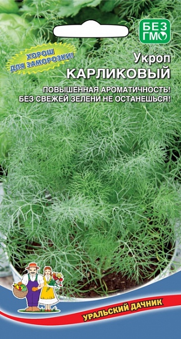 картинка Укроп Карликовый 2г ц/п (УД) раннеспелый,для подоконника и грядки,кустовой магазин Одежда+ являющийся официальным дистрибьютором в России 