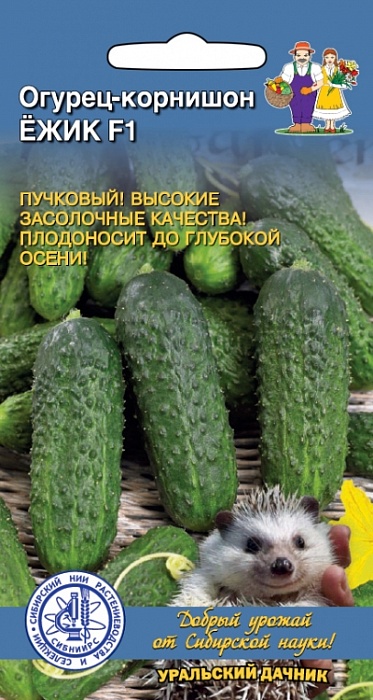 картинка Огурец Ежик F1 10шт ц/п (УД) магазин Одежда+ являющийся официальным дистрибьютором в России 