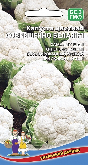 картинка Капуста цветная Совершенно Белая F1 0,2г ц/п (УД) ранняя, до 950г магазин Одежда+ являющийся официальным дистрибьютором в России 