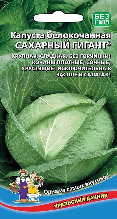 картинка Капуста Сахарный Гигант 0,3г ц/п (УД) Новинка! поздняя, до 5кг магазин Одежда+ являющийся официальным дистрибьютором в России 