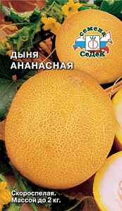 Дыня Ананасная 0,5г ц/п (Седек) скороспелый, 1,8-2кг