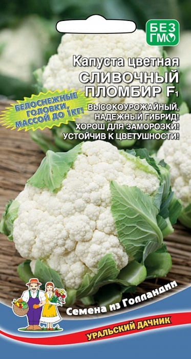 картинка Капуста цветная Сливочный пломбир F1 0,2г ц/п (УД) ср/ранняя, до 1кг магазин Одежда+ являющийся официальным дистрибьютором в России 
