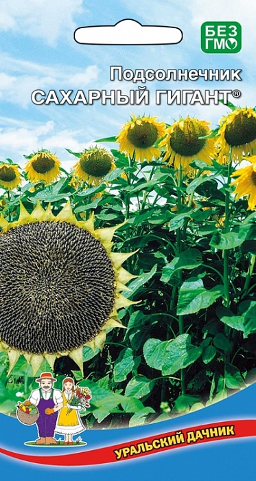 картинка Подсолнечник Сахарный гигант 5шт ц/п (УД) Новинка! магазин Одежда+ являющийся официальным дистрибьютором в России 