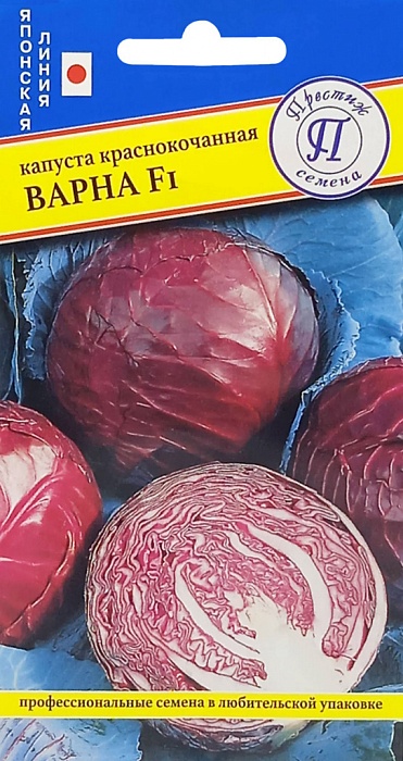 картинка Капуста краснокочанная Варна 10шт (Престиж) магазин Одежда+ являющийся официальным дистрибьютором в России 