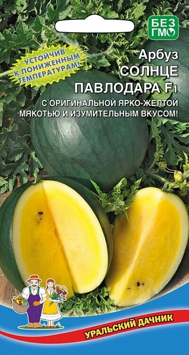 картинка Арбуз Солнце Павлодара F1 8шт ц/п (УД) с желтой мякотью магазин Одежда+ являющийся официальным дистрибьютором в России 